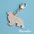 Èþ¤·¤¤µ±¤¤Î¥¥ã¥Ð¥ê¥¢¥Ñ¥ô¥§¥Á¥ã¡¼¥à¡¡¡ï10500
